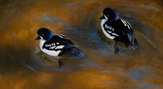 "Rivers of Gold" ORIGINAL