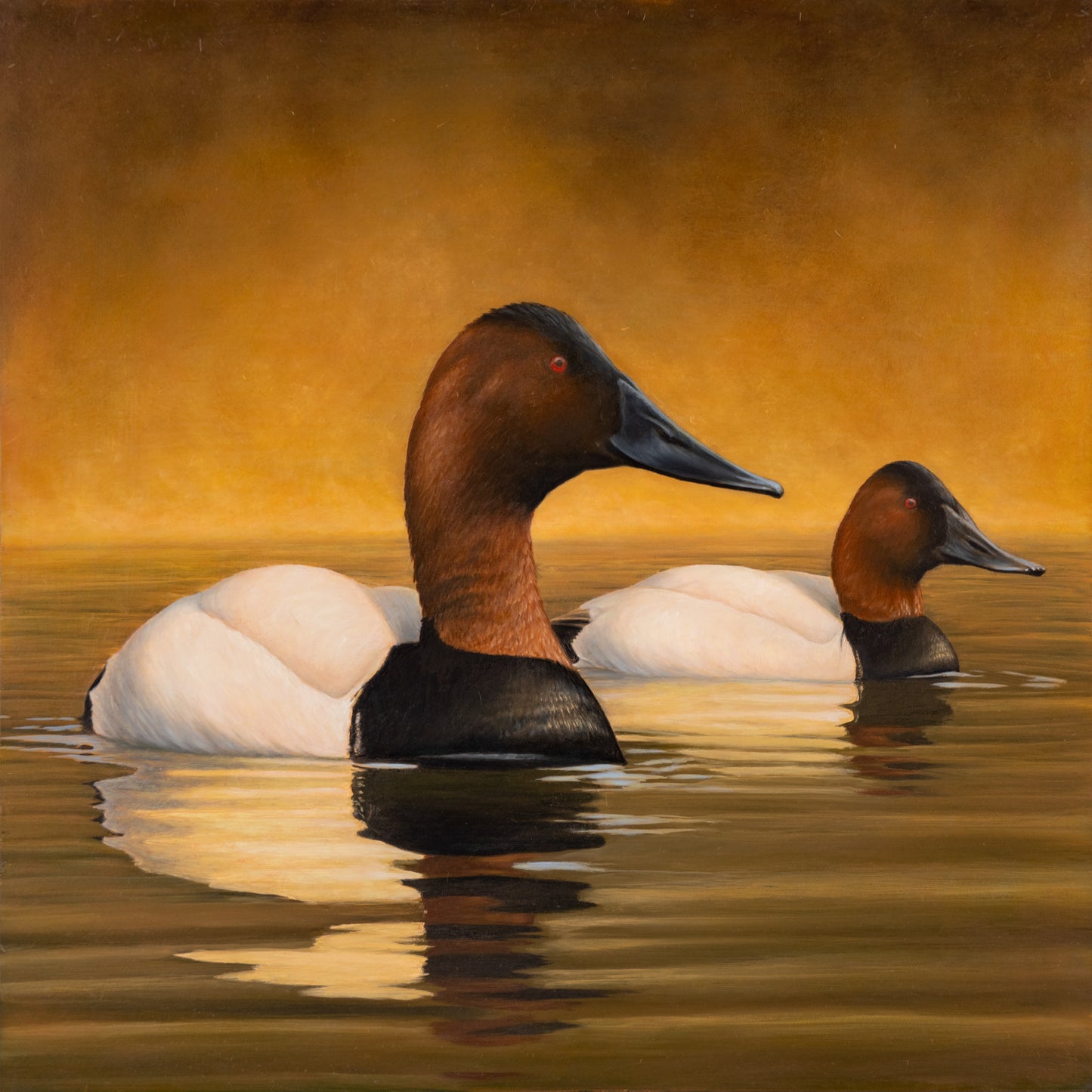 “Canvasback: Kings”