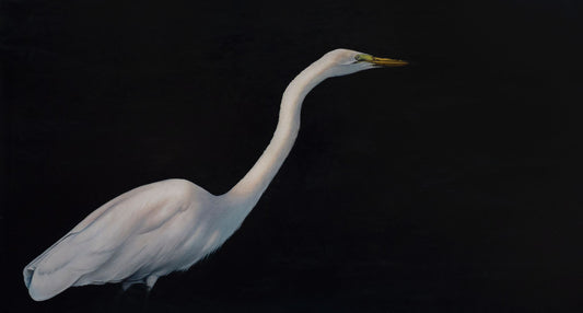 “Graceful” ORIGINAL