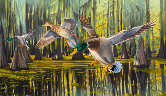 “Timber Greenheads” ORIGINAL