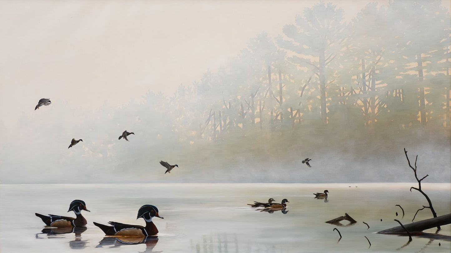 “Through the Fog: Quiet Morning”