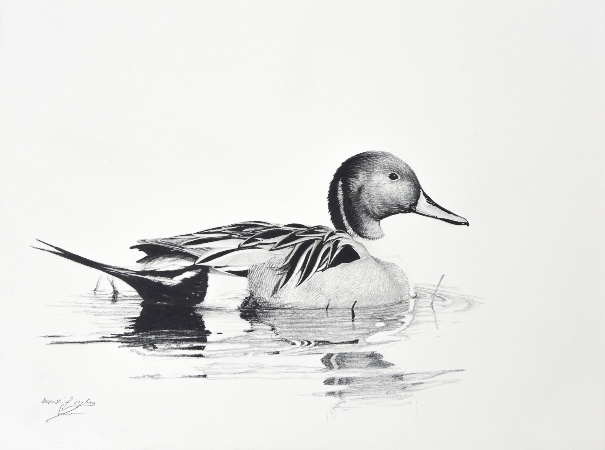 Duck Art Originals & Prints | Waterfowl & Wildlife Art – Cory James ...