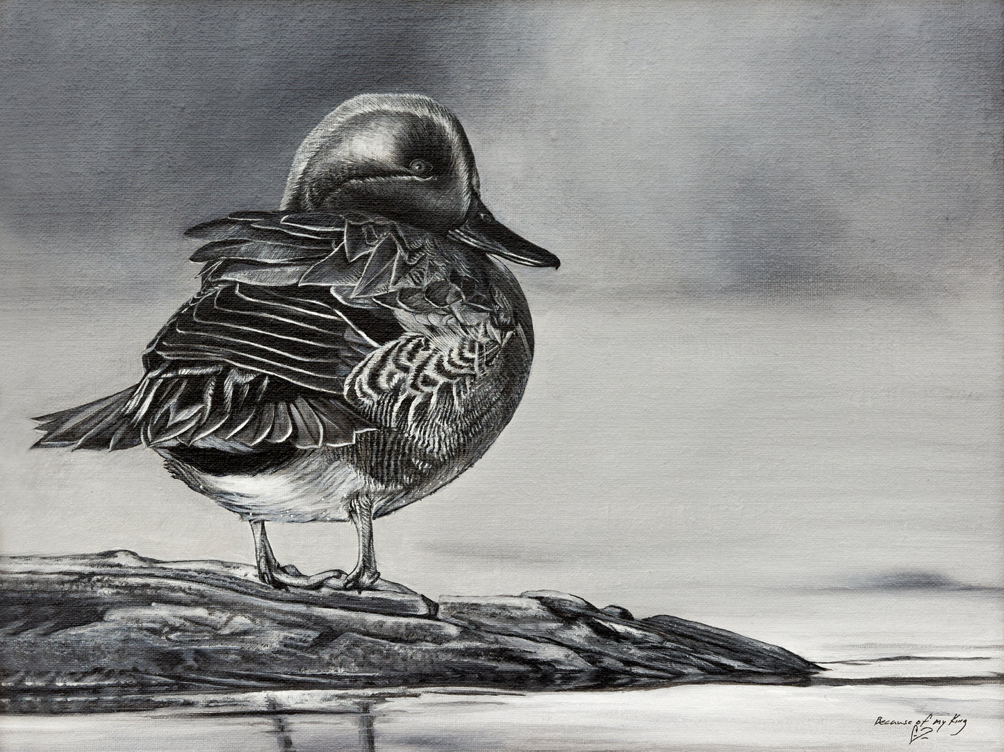 "Green-Winged Teal, Black and White Study"