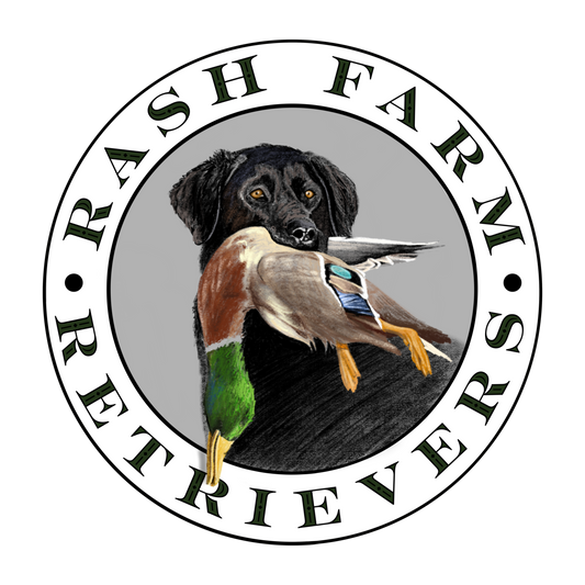 Rash Farm Retrievers
