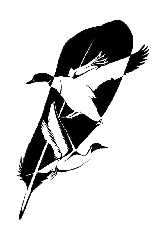 Feather Design