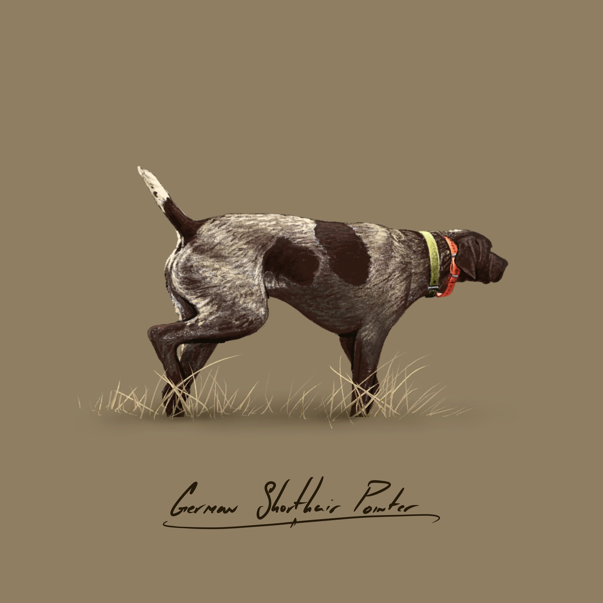 German Shorthair Pointer – Cory James Fine Art