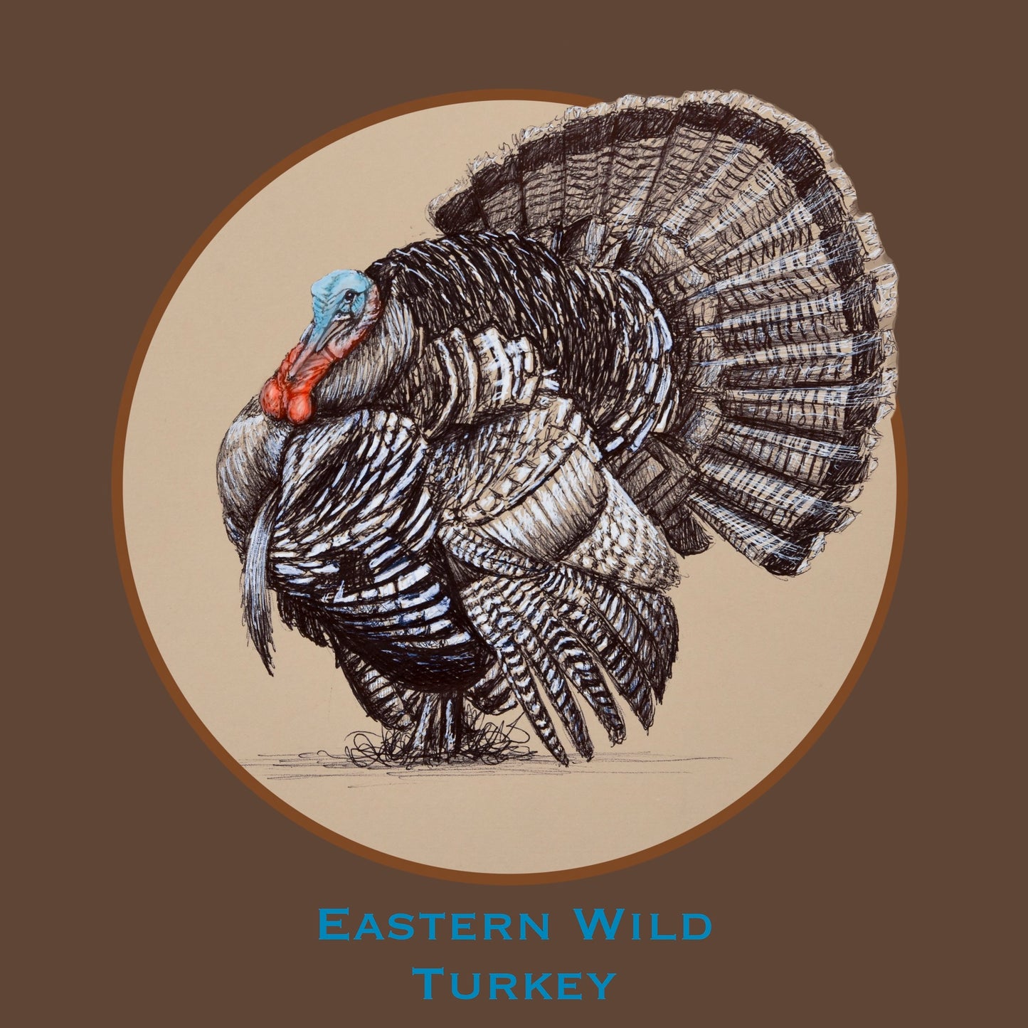 Eastern Wild Turkey