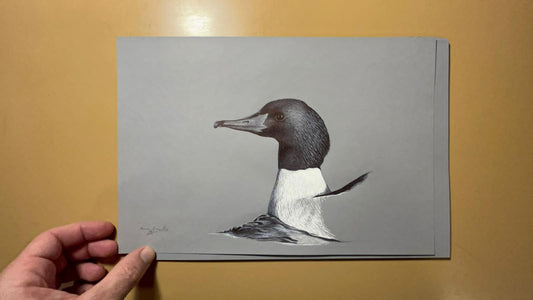 Common Merganser ON SALE